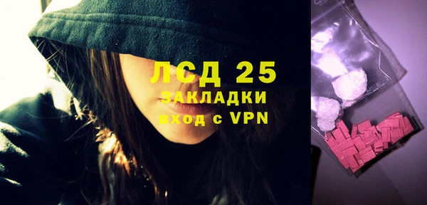 индика Инта