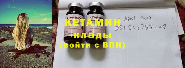 индика Инта