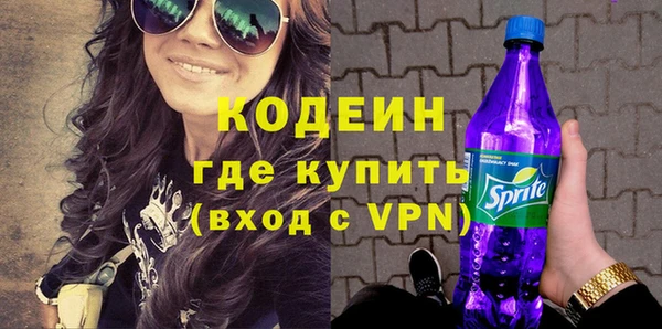 индика Инта