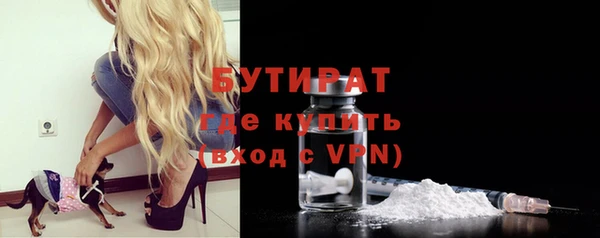 индика Инта