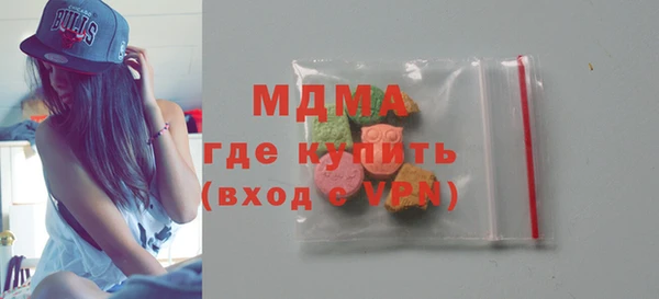 индика Инта