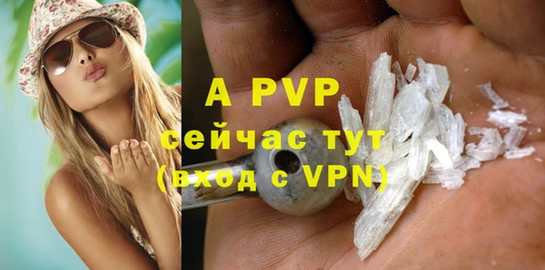 индика Инта