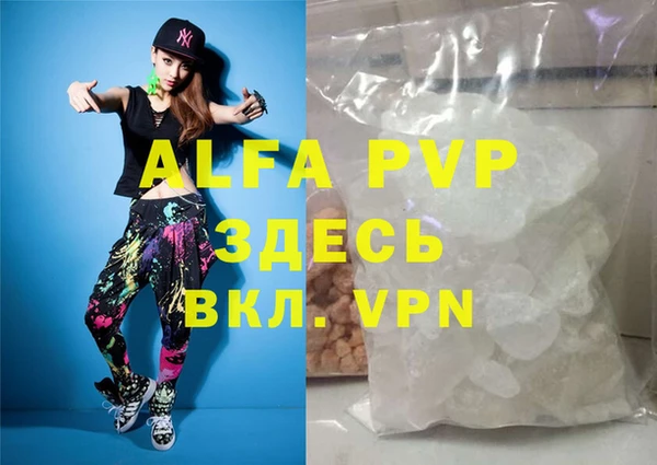 индика Инта