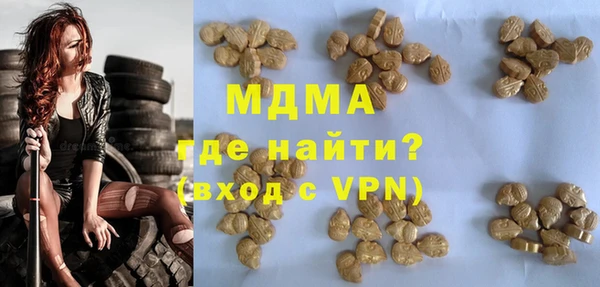 индика Инта