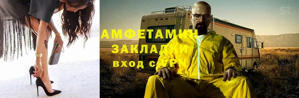 индика Инта