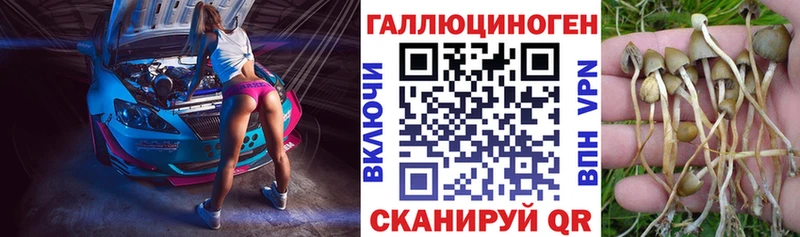 Купить где  Фролово  Галлюциногенные грибы прущие грибы 